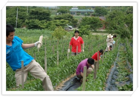 2007/6/23 봉사활동 - 활동 사진